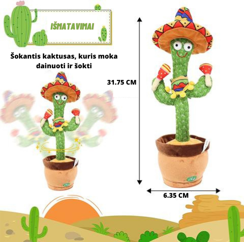 kaktusas2.png
