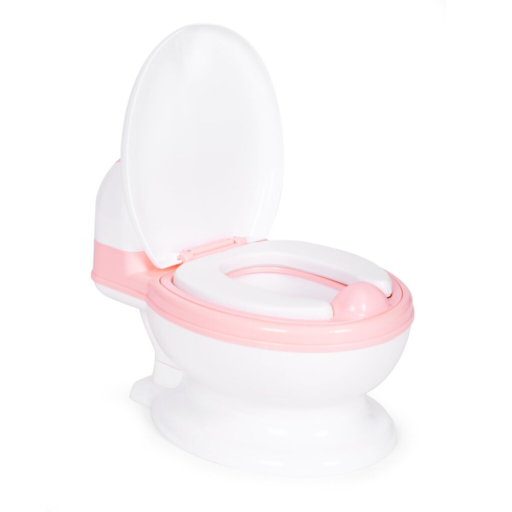 klozetas-su-nuimamu-ideklu-ir-sepeteliu-ecotoys-31b82-atsiliepimai_reference